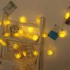 Đèn lát chanh trang trí 3m 20 bóng dùng phích cắm điện công suất 0.05W