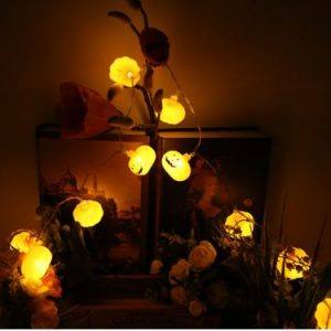 Đèn Bí Ngô Halloween