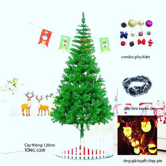 Trang trí cây thông Noel